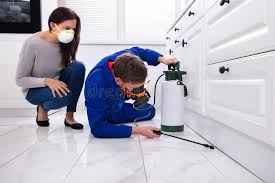 Emergency Pest Control Services in Del Monte Forest, CA